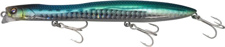 Slim Sardine