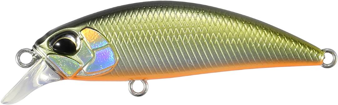 MNI4047 - Tennessee Shad