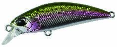 MCC4036 - Rainbow Trout