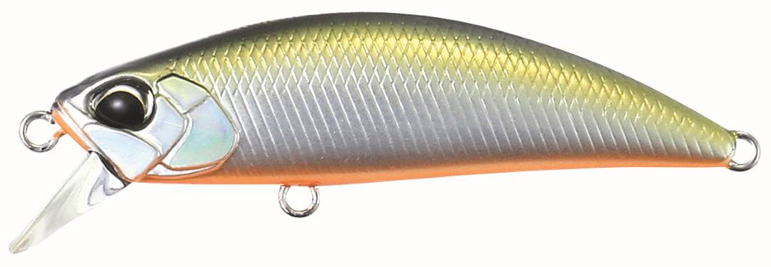 MNI4047 - Tennessee Shad