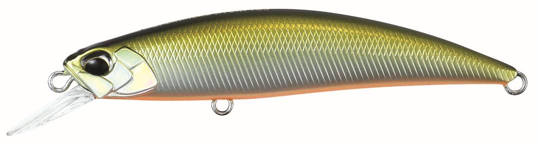 MNI4047 - Tennessee Shad