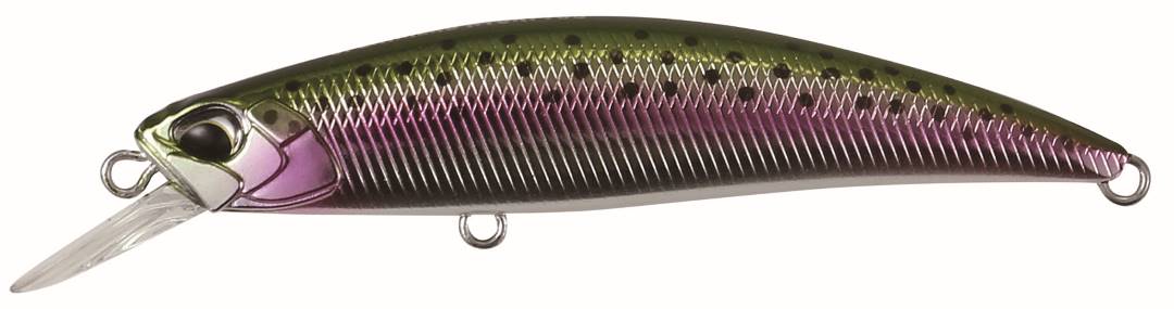 MCC4036 - Rainbow Trout