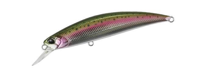 MCC4036 - Rainbow Trout