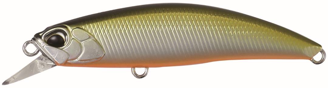 MNI4047 - Tennessee Shad