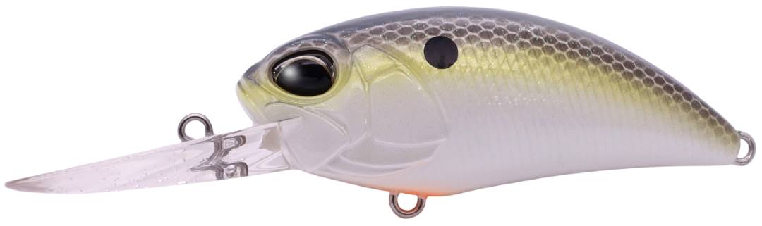 ACC3083 - American Shad