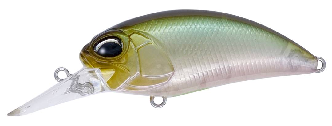 GEA3006 - Ghost Minnow