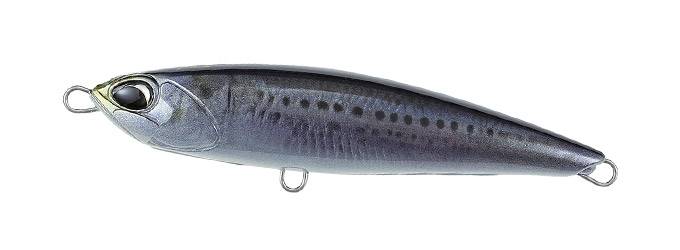 RP Sardine