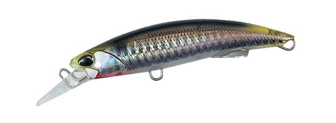 GHN0157 - Waka Mullet