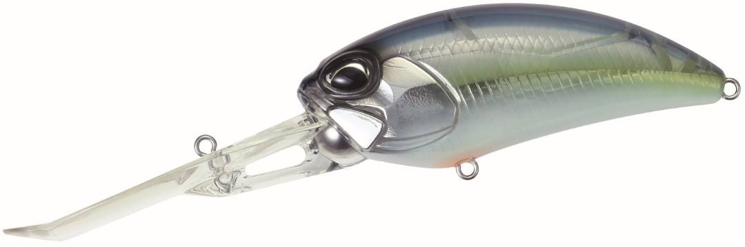 DRH3094 - Komochi Shad