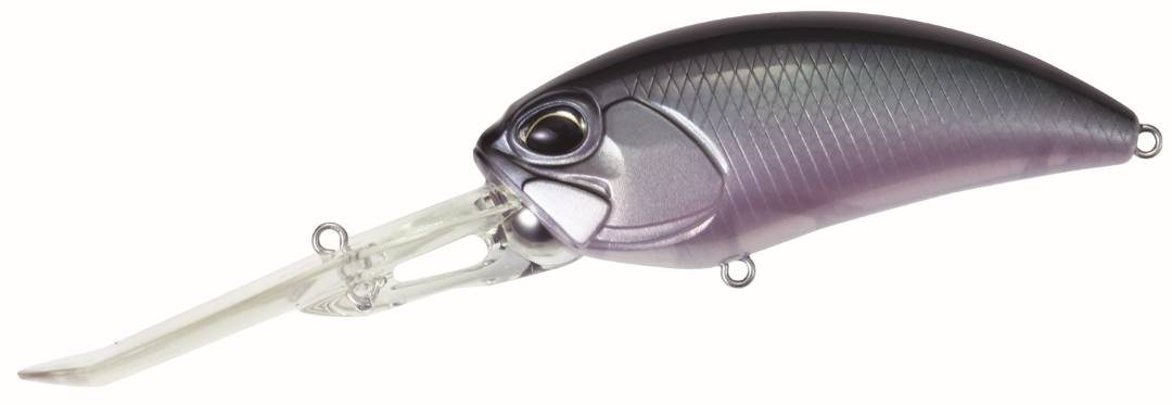 CCC3064 - Gizzard Shad