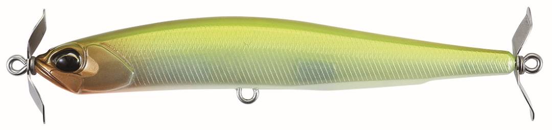 CCC3127 - Grass Minnow