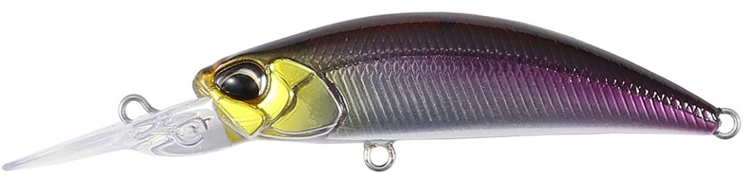 GSN4011 - Stream Shad