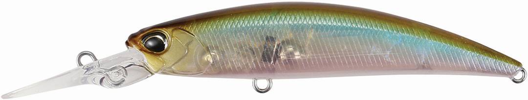 GEA3006 - Ghost Minnow