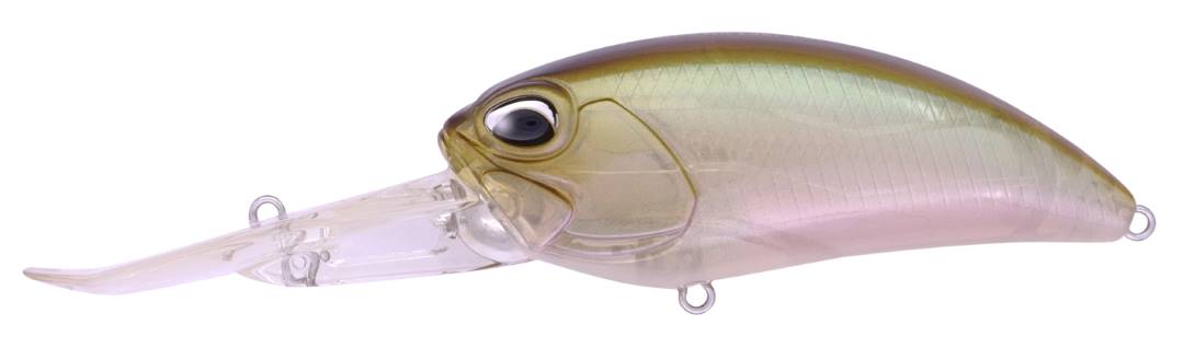 GEA3006 - Ghost Minnow