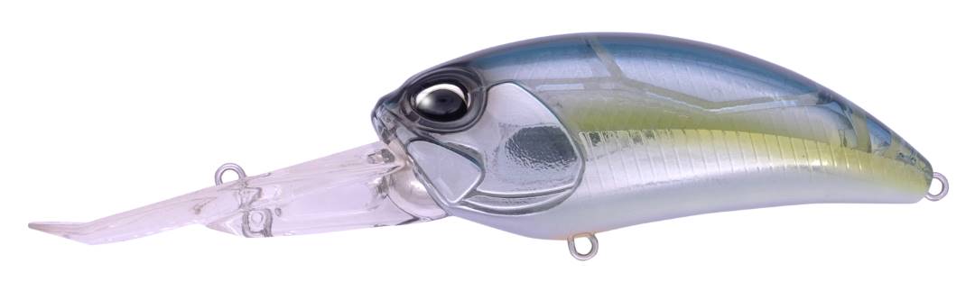 DRH3094 - Komochi Shad