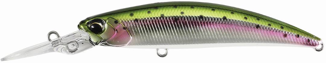 MCC4036 - Rainbow Trout