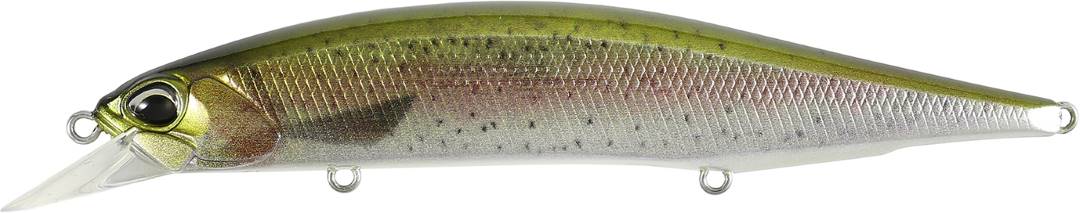 CCC3836 - Rainbow Trout ND