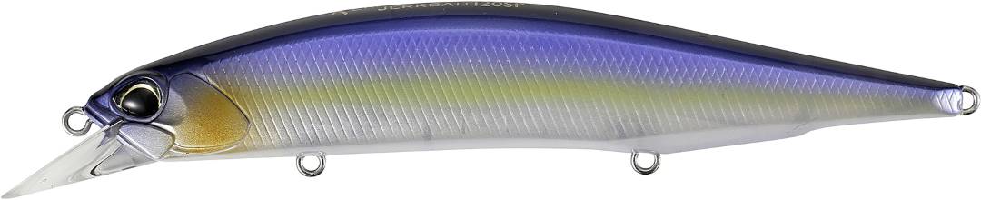 CCC3172 - Threadfin Shad