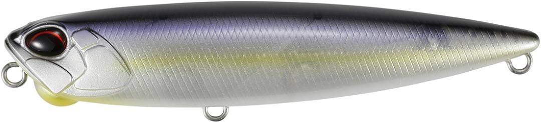 CCC3193 - Threadfin Shad II