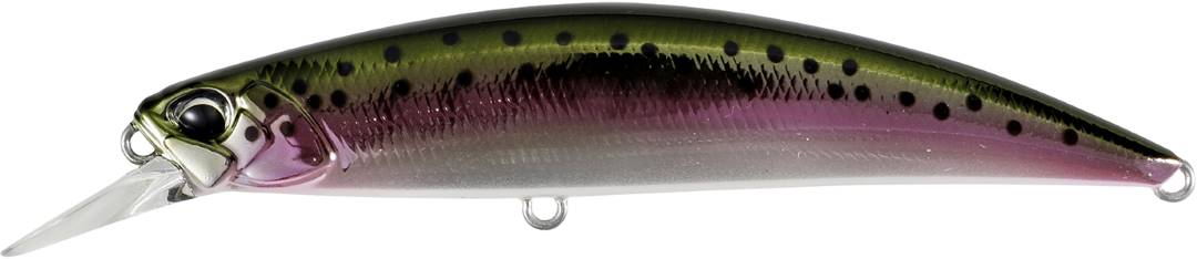 MCC4036 - Rainbow Trout