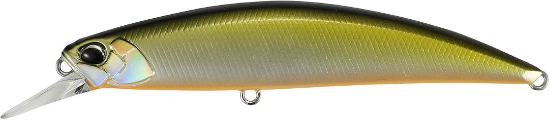 MNI4047 - Tennessee Shad