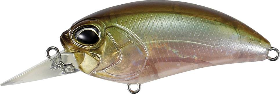 GEA3006 - Ghost Minnow