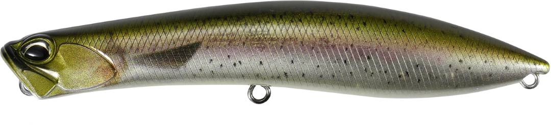 CCC3836 - Rainbow Trout ND