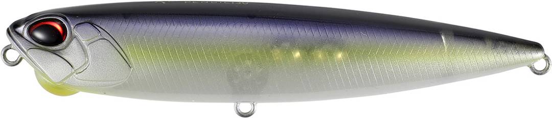 CCC3193 - Threadfin Shad II