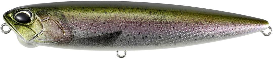 CCC3836 - Rainbow Trout ND