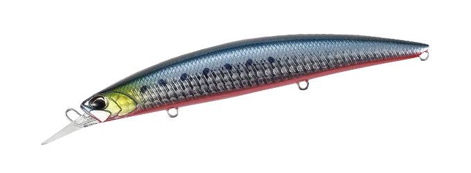 ABA0030 - Sardine RB