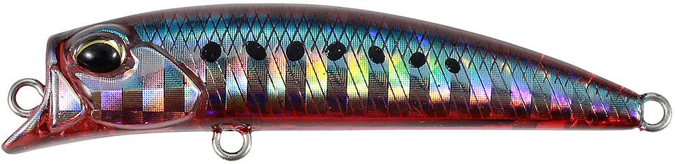 CHA0335 - Red Sardine