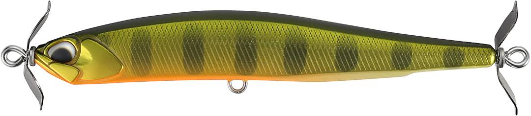 ASA3146 - Gold Perch