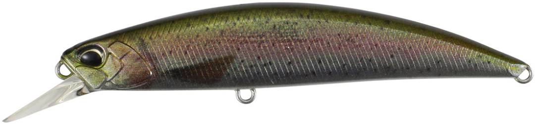 CCC3836 - Rainbow Trout ND