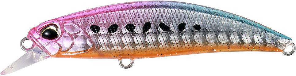 DBA0189 - Sakura Sardine OB