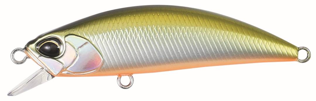 MNI4047 - Tennessee Shad