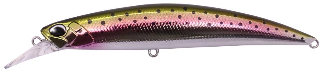 MCC4036 - Rainbow Trout