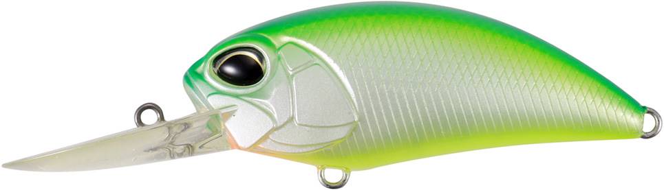 CCC3180 - Citrus Shad