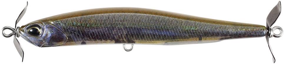 CCCZ104 - Emerald Shiner ND