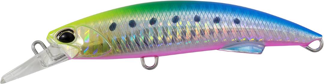 CHA0183 - Vivid Sardine PB