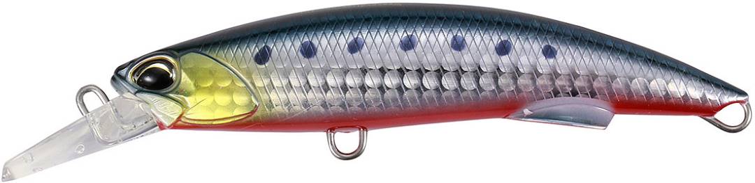 ABA0030 - Sardine RB