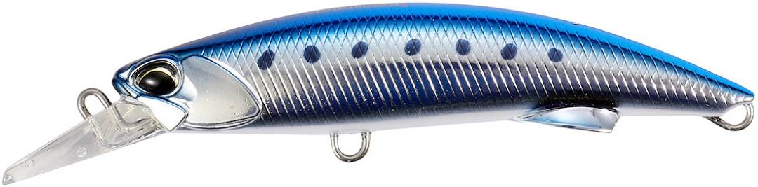 MCCZ037 - Blue Metallic Sardine