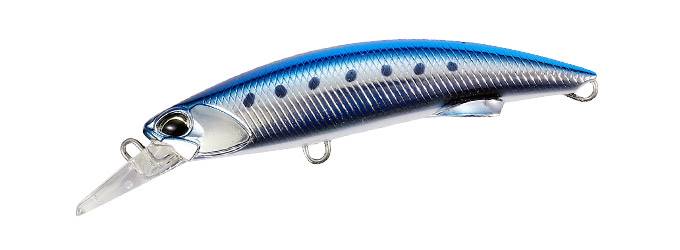 MCCZ037 - Blue Metallic Sardine