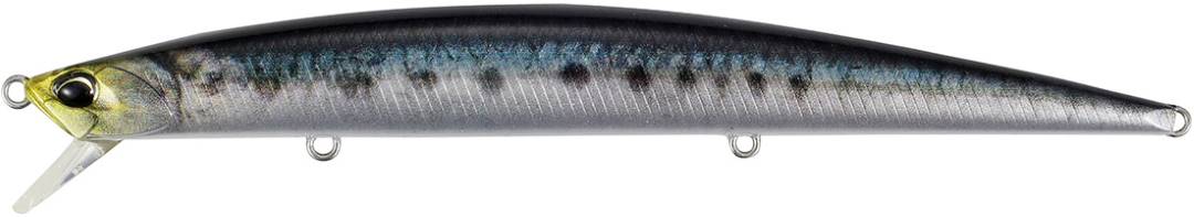 ACC0807 - Sardine ND