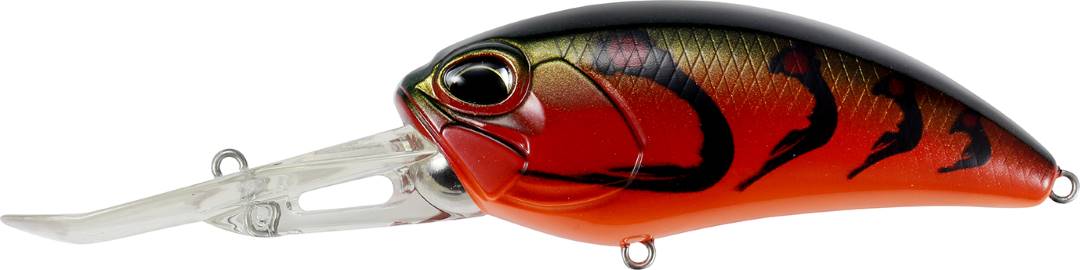 ACC3251 - Swamp Craw