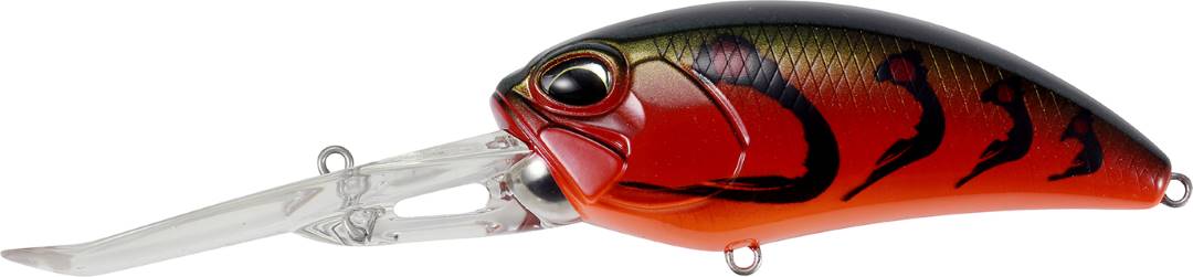 ACC3251 - Swamp Craw