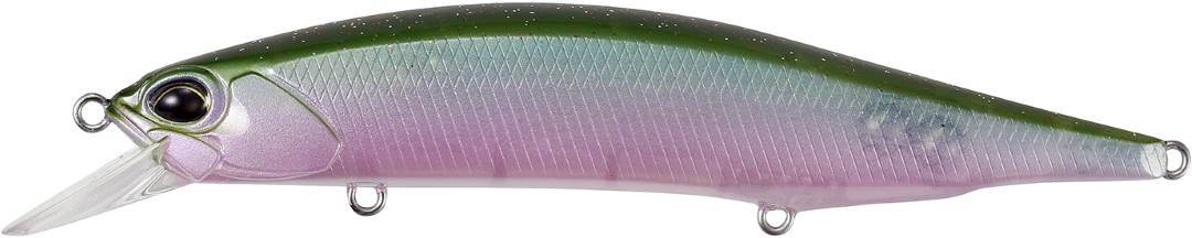 CCC3254 - D Shad