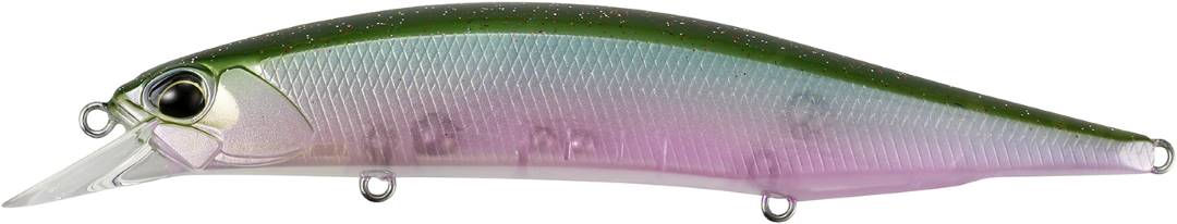 CCC3254 - D Shad