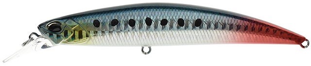 AHAZ125 - Sardine RT