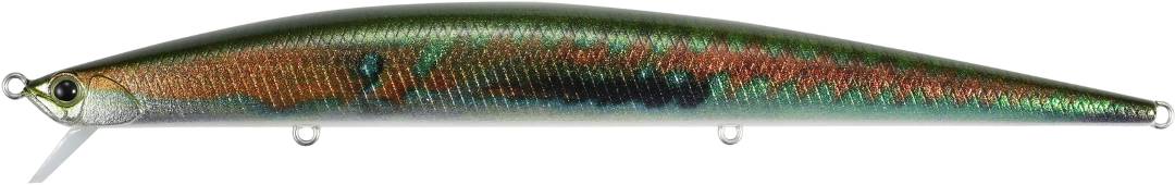 CCC0824 - Wrasse II ND