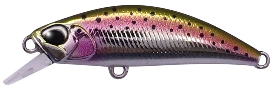 MCC4036 - Rainbow Trout